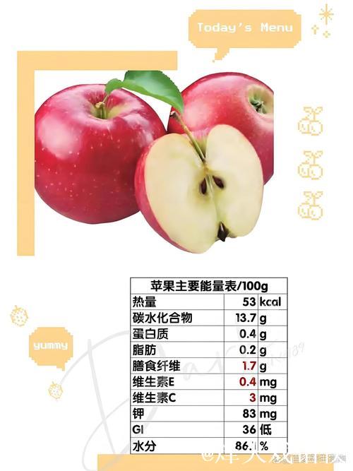 全面解读51吃瓜苹果版的特色功能与使用指南