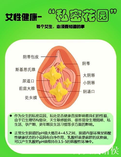 “深入解析微密圈是什么及其功能” “深入解析微密圈是什么及其功能”